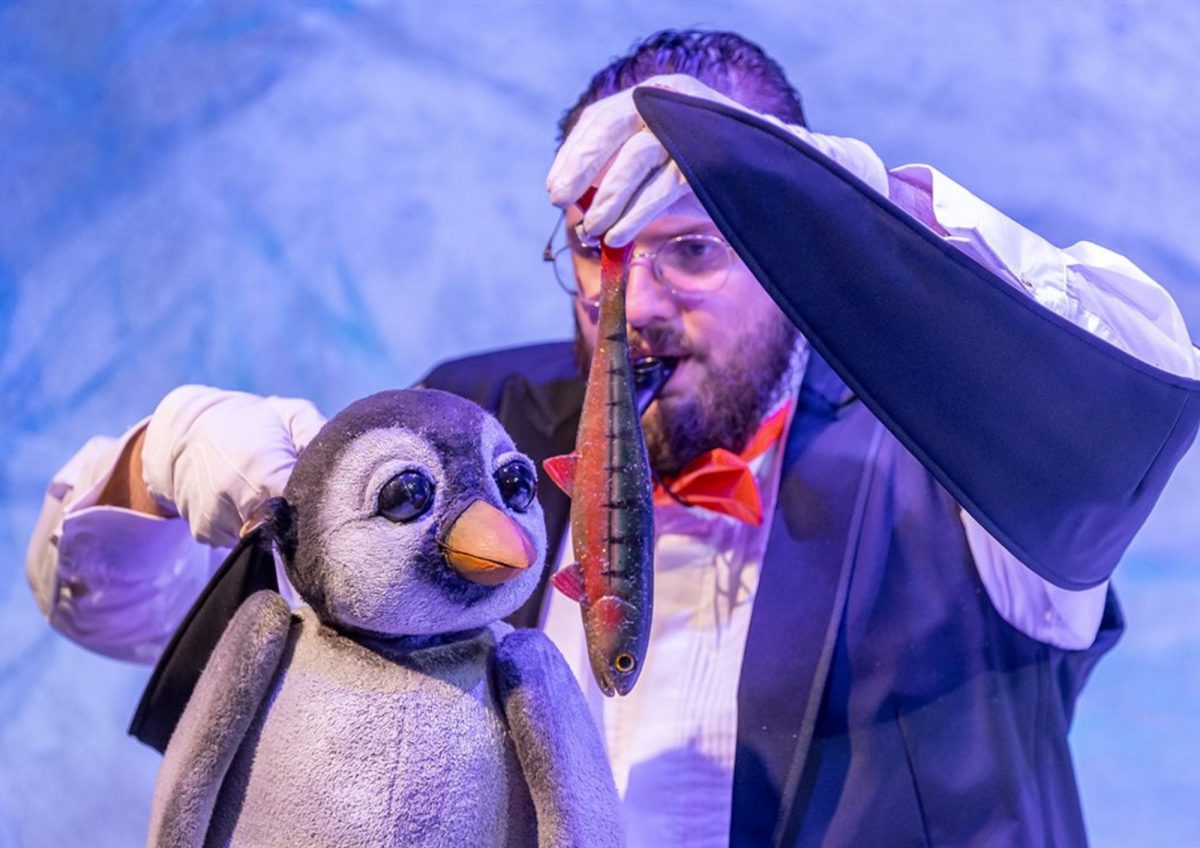 Kleiner Pinguin - Link zur Unterseite