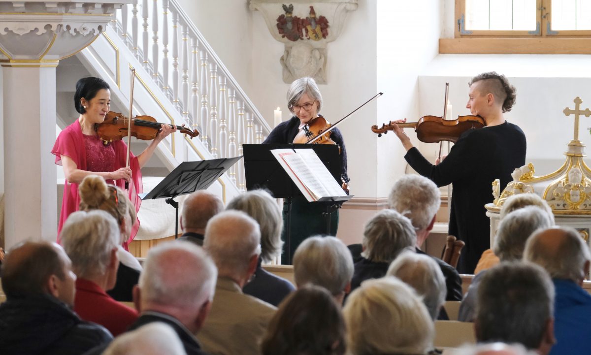 Viermal zwei, zweimal drei - zeigt Streichtrio in Pillnitz,
